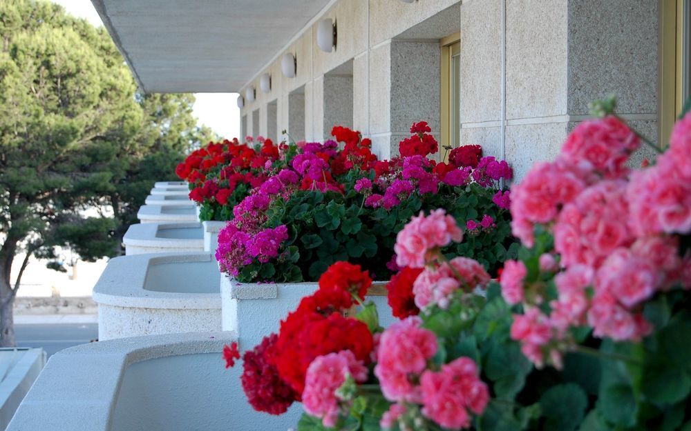 4R Meridia Mar Hospitalet De L'Infant Exterior photo